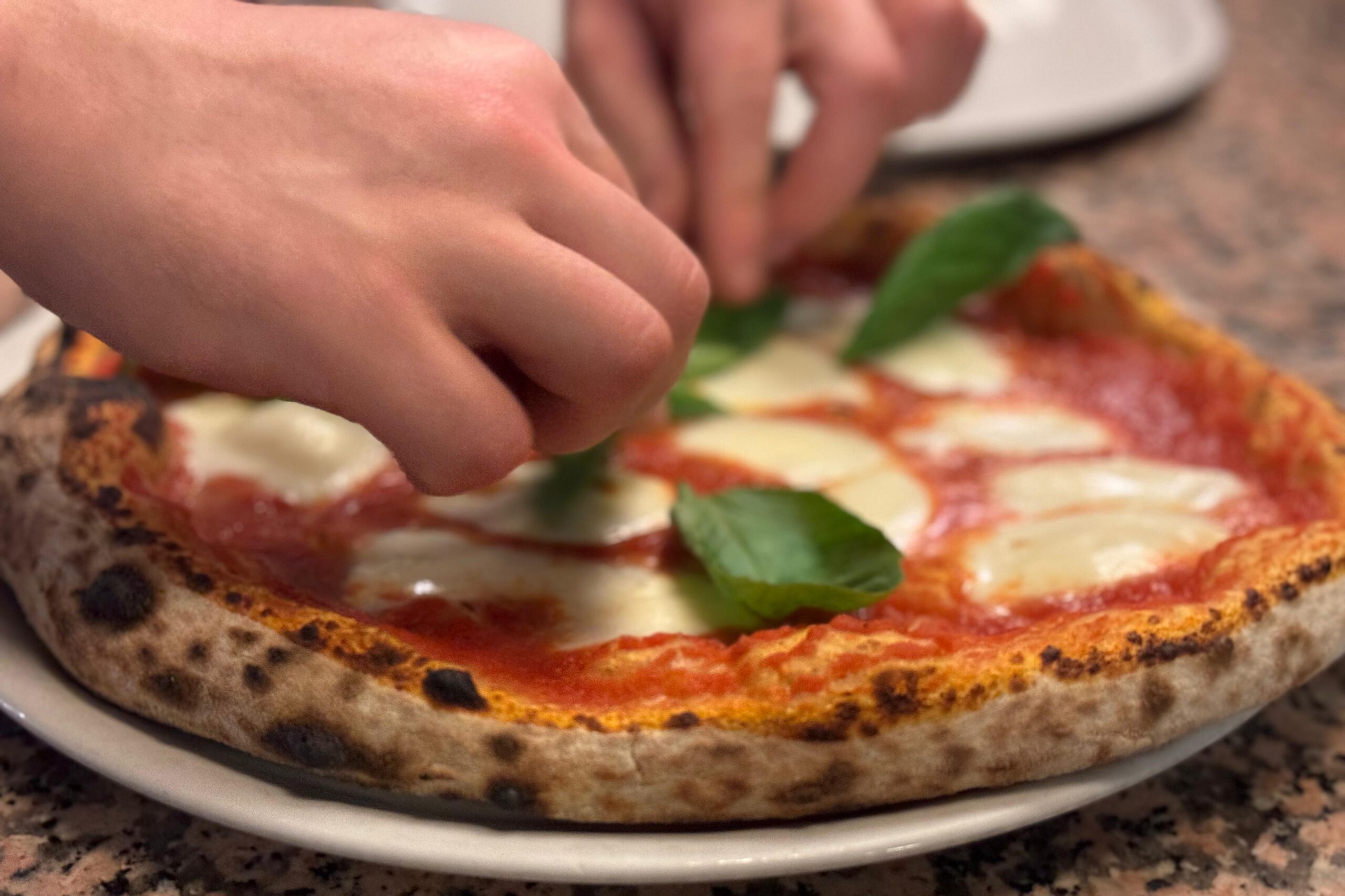 margherita